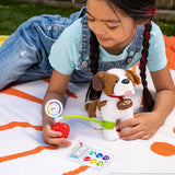 Elf On The Shelf : Elf Pets Cheer Checkup Set