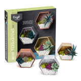 CRAFT CRUSH® MINI TERRARIUMS