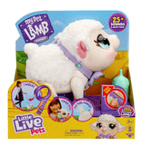 Little Live Pets : My Pet Lamb