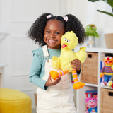 Gund : Premium Plush - Sesame Street , Big Bird - 14"