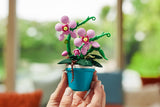 Zuru : Max Build - Garden Pot Plants - Series 1