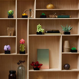 Lego Icons : Succulents