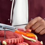 *** NEW FOR SPRING 2023 *** Nerf Dungeons & Dragons Themberchaud Nerf Blaster, 6 Nerf Elite Darts