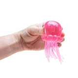 (LIMIT OF 2 PER HOUSEHOLD) NeeDoh® Jelly Squish