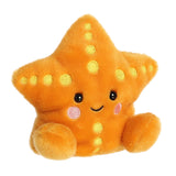 Aurora® - Palm Pals™ - 5" Treasure Starfish™
