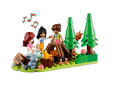 LEGO Friends : Mobile Tiny House