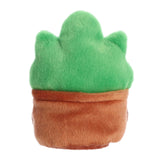Aurora - Palm Pals - 5" Gigi Succulent™ Springtime