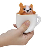 PUP IN A CUP (Assorted Pups)