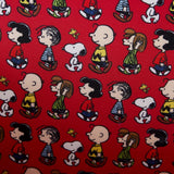 Loungefly Premium: Peanuts Charlie Brown Vintage Lunchbox Crossbody Bag