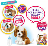 Little Live Pets : My Really Real Puppy