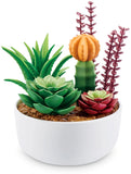 Zuru Mini Brands Create: Garden
