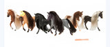 Royal Breeds - Show Collection 6 Pack (Limit 2)