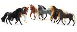 Royal Breeds - Show Collection 6 Pack (Limit 2)