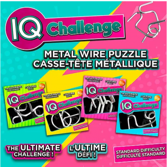 I.Q Challenge Metal Wire Puzzles (Assorted)