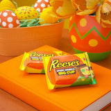 REESE'S Easter Big Cup with Spring Sprinkles Milk Chocolate Peanut Butter Cup 1.3oz [BB-10/25]