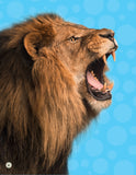 National Geographic Kids Puzzle Book: Animals