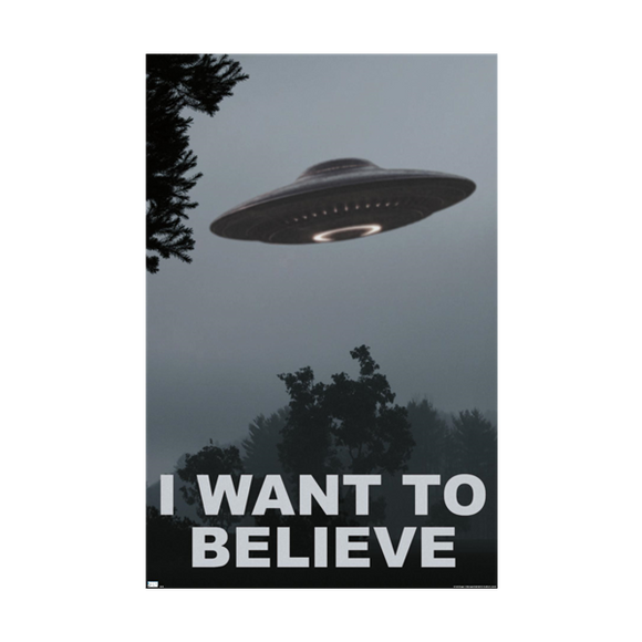 The X-Files : I Want To Believe  Wall Poster - 22