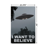 The X-Files : I Want To Believe  Wall Poster - 22" x 34"