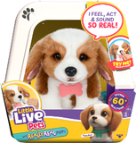 Little Live Pets : My Really Real Puppy