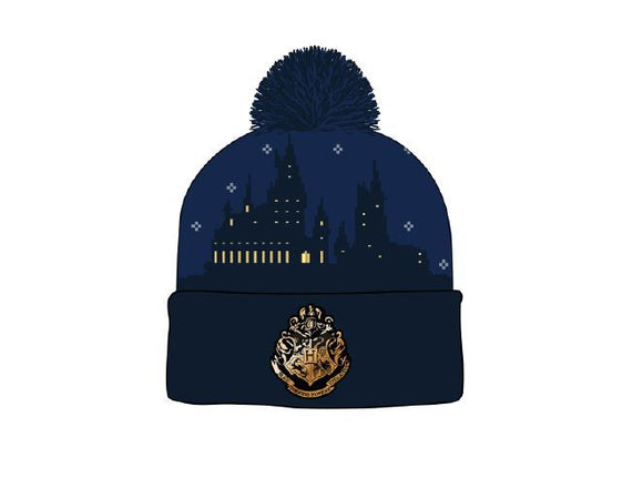 Harry Potter Hogwarts Houses Men's Beanie
