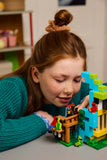 Lego: Minecraft - The Parrot Houses