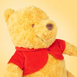 Disney - Winnie The Pooh - Medium Plush - Rose Fabric with Patch - Winnie The Pooh Collectors Edition 100th Anniversary