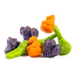 Colossal's Exclusive Horror  Halloween Candy : Fall Mini Gummi Worms + Spooktacular Gummi Mix - OVER 1LB