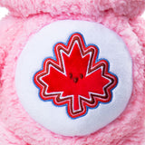 Basic Fun : Care Bears™ – Medium Plush – True North Bear 4.0 / 2026 (Canadian-Exclusive)