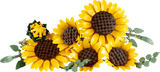 Lego : Botanicals - Sunflower Bouquet