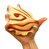 Mush Meez : Taba Mush Meez - Food (Assorted)