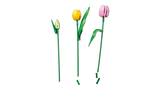 Lego : Botanicals Tulip Bouquet