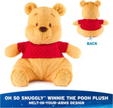 Gund : Premium Plush - Disney , Pooh Oh So Snuggly Plush - 12.5”