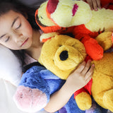 Disney - Winnie The Pooh Soft Plush - Winnie The Pooh