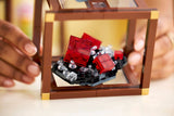 Lego : Ideas - Mineral Collection