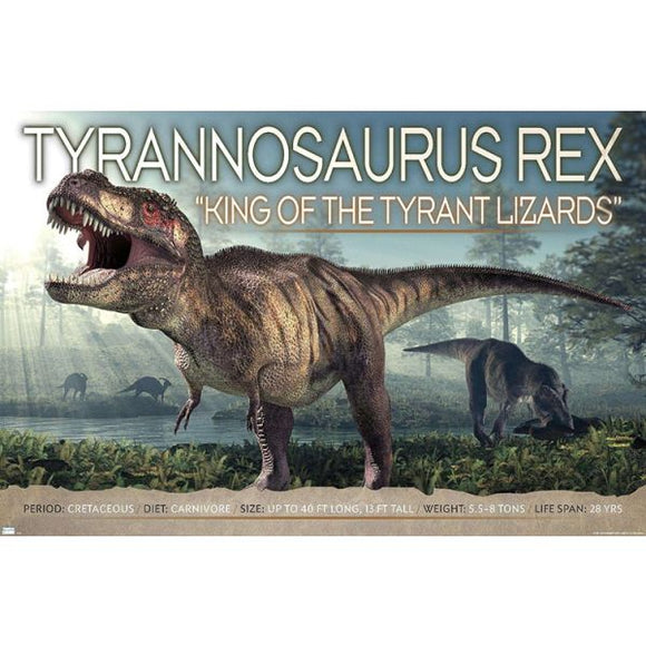 Dinosaur T-Rex Wall Poster - 22