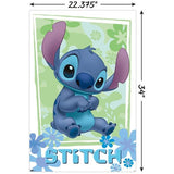 Disney Lilo and Stitch Wall Poster - Flowers