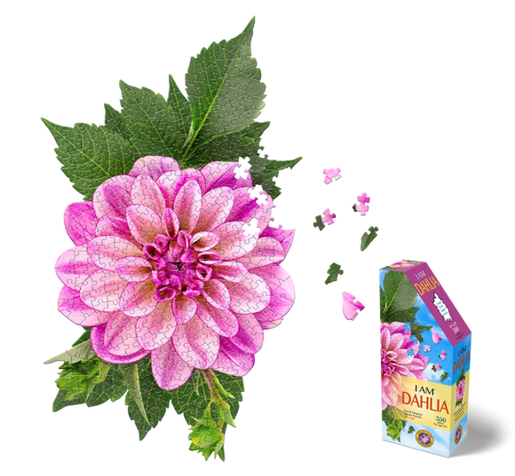 I AM DAHLIA 350PC PUZZLE
