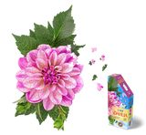 I AM DAHLIA 350PC PUZZLE