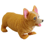 Stretchi Corgi Dog