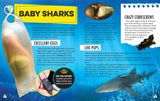 Discovery: Shark Spotter's Guide
