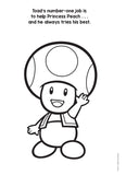 Super Mario Deluxe Paint Box Book (Nintendo)