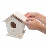 Mindware : Make Your Own Birdhouse