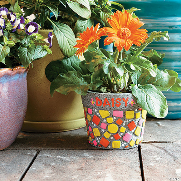 Paint Your Own Stone: ‭Mosaic Flower Pot