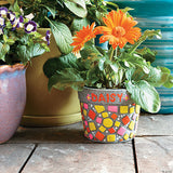 Paint Your Own Stone: ‭Mosaic Flower Pot